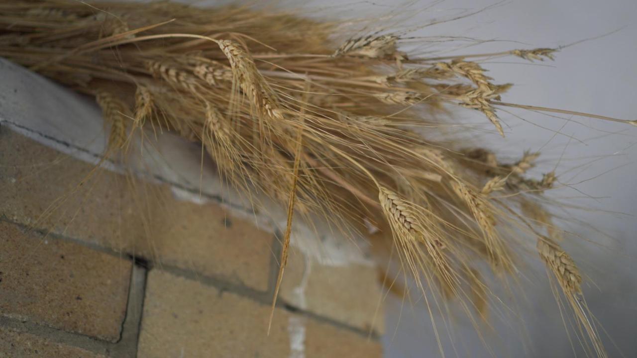 모디카 Antica Dimora San Filippo 빌라 외부 사진
